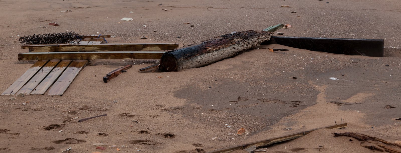 art-of-sandy-mo-staten island 2-10.jpg